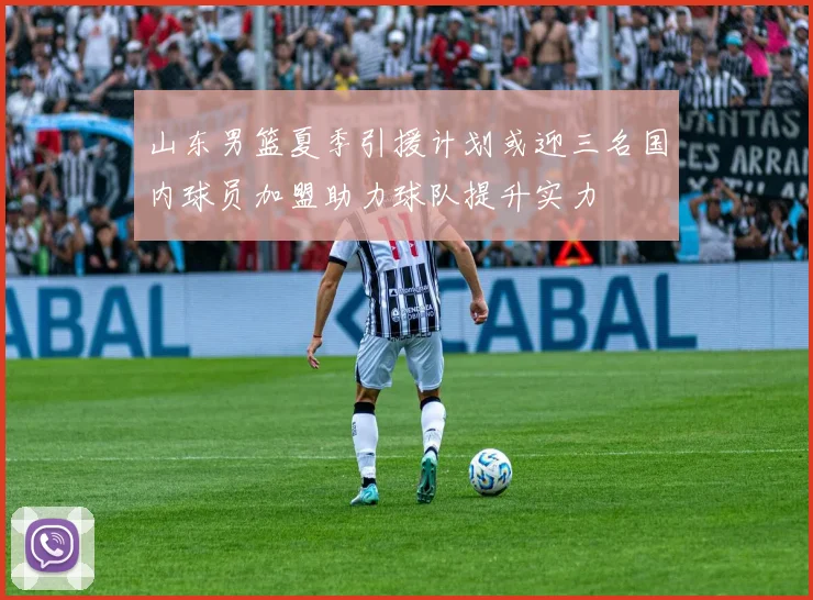 山东男篮夏季引援计划或迎三名国内球员加盟助力球队提升实力