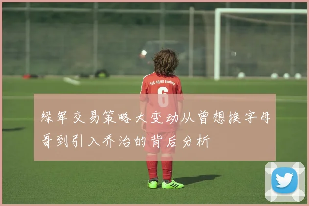 绿军交易策略大变动从曾想换字母哥到引入乔治的背后分析